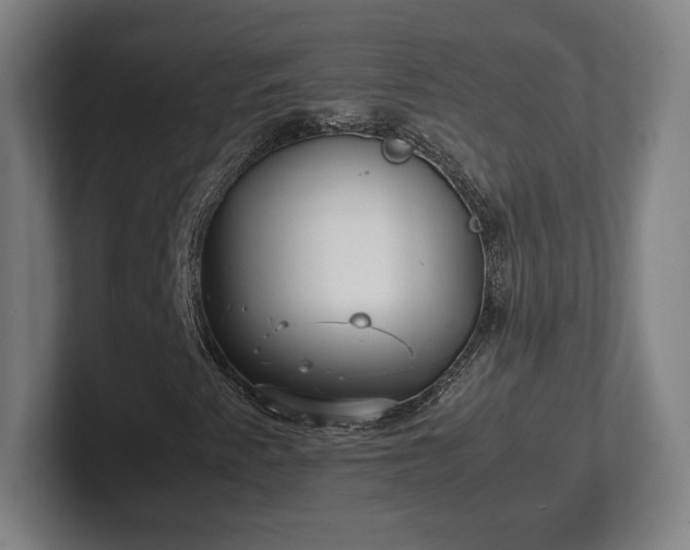 X0000101991345200807251218