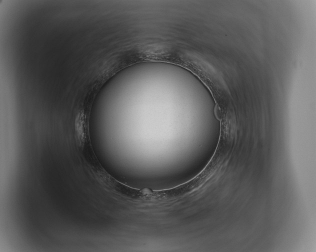 X0000101991346200807251218