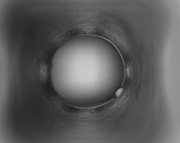 X0000101991347200807251218
