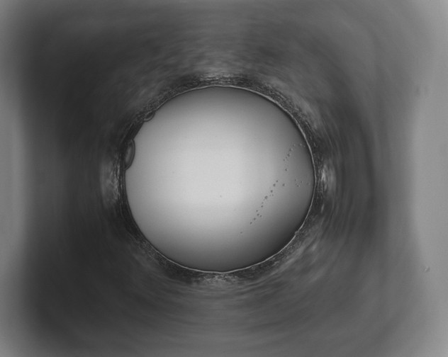 X0000101991348200807251218