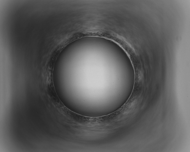 X0000101991350200807251218