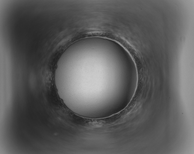 X0000101991351200807251218