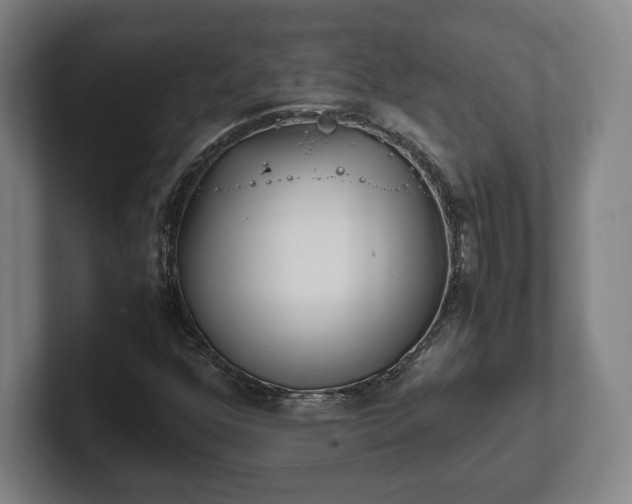 X0000101991352200807251218