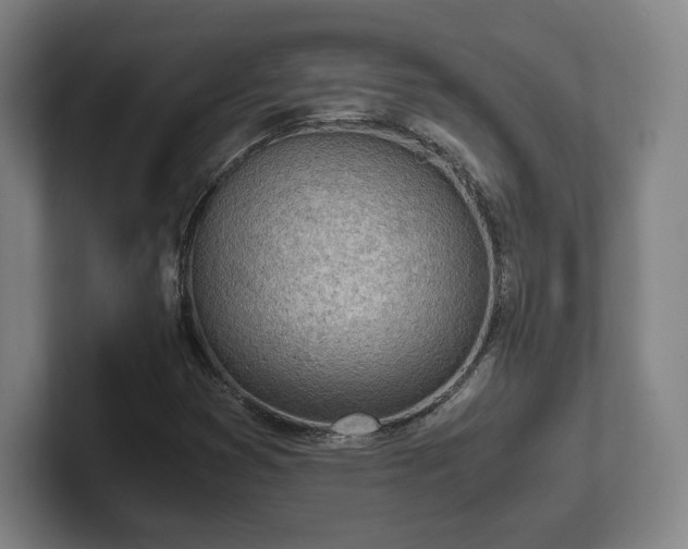 X0000101991353200807251218