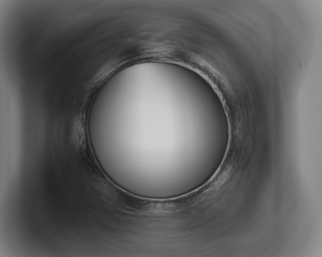 X0000101991354200807251217