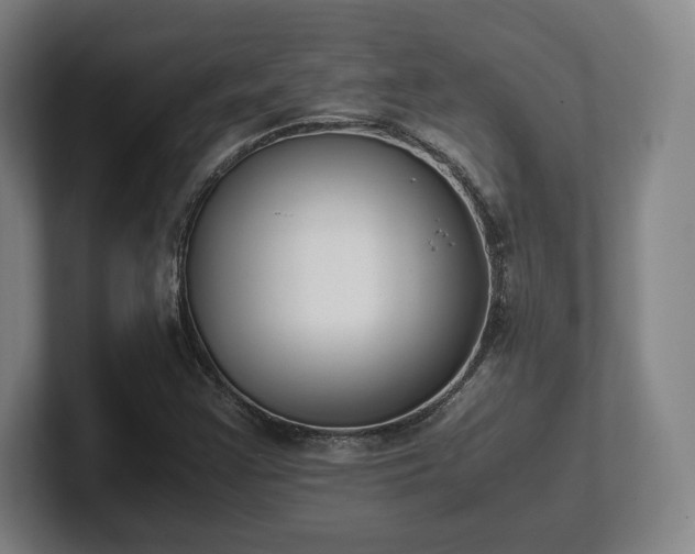 X0000101991355200807251217