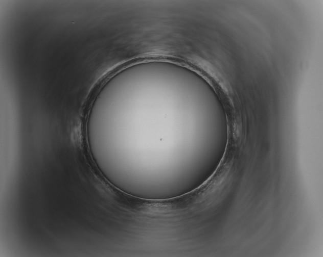 X0000101991356200807251217