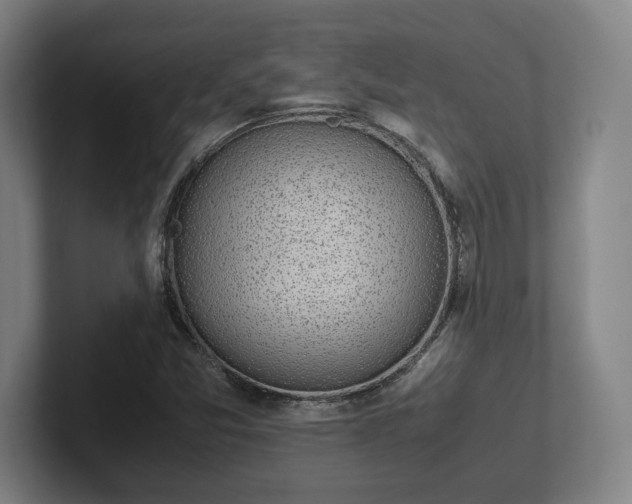 X0000101991357200807251217
