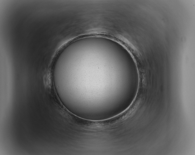 X0000101991358200807251217