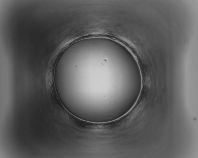 X0000101991359200807251217
