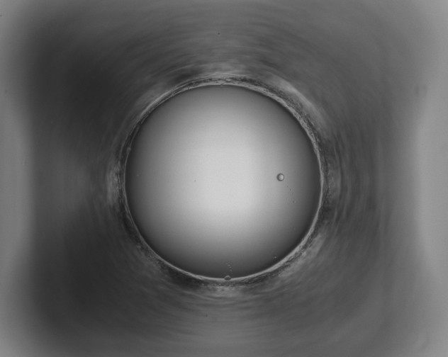 X0000101991361200807251217