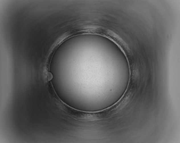 X0000101991362200807251217