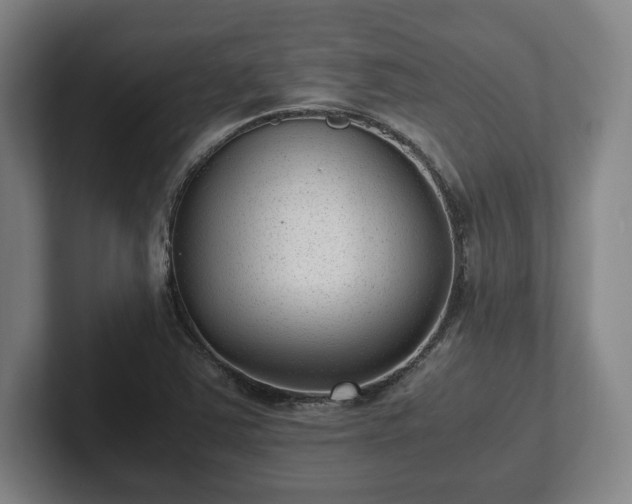 X0000101991363200807251217
