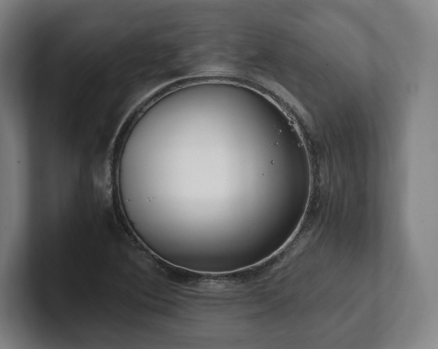 X0000101991364200807251217