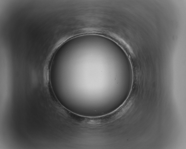 X0000101991365200807251217