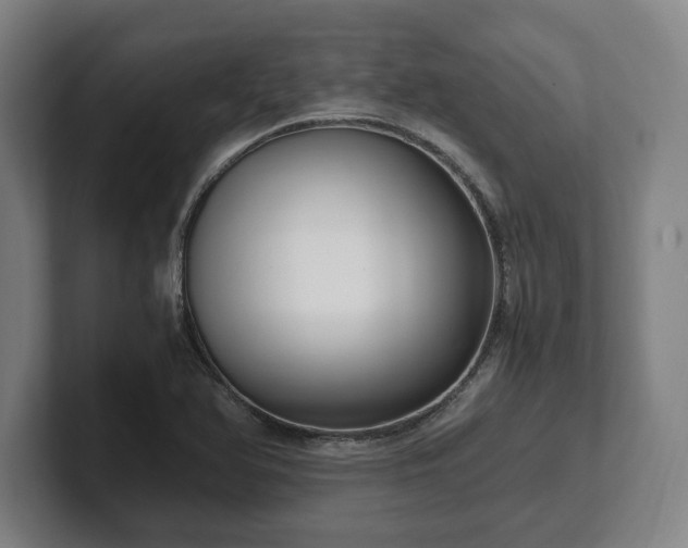 X0000101991366200807251217