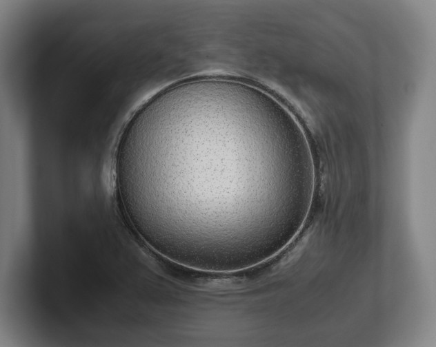 X0000101991367200807251217