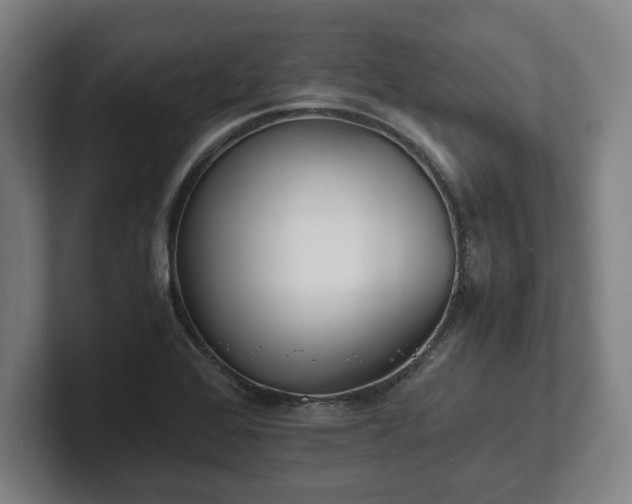 X0000101991368200807251217