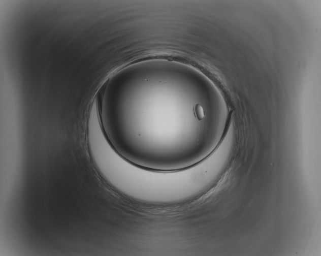 X0000101991369200807251217