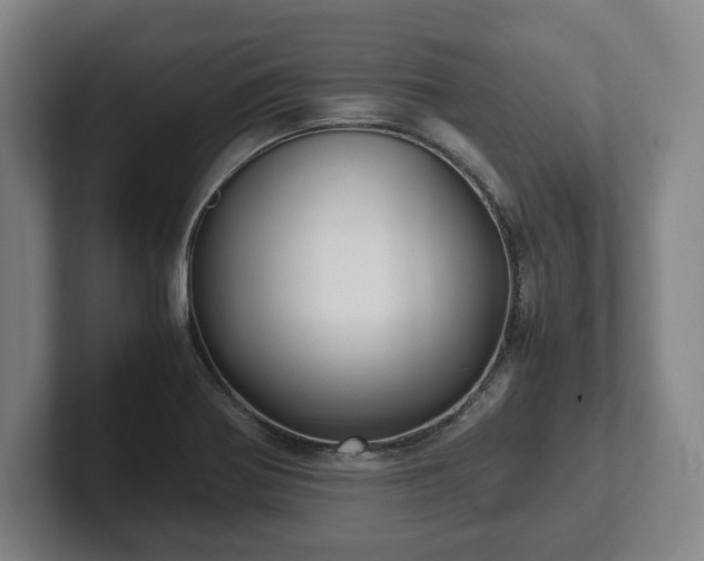 X0000101991370200807251217