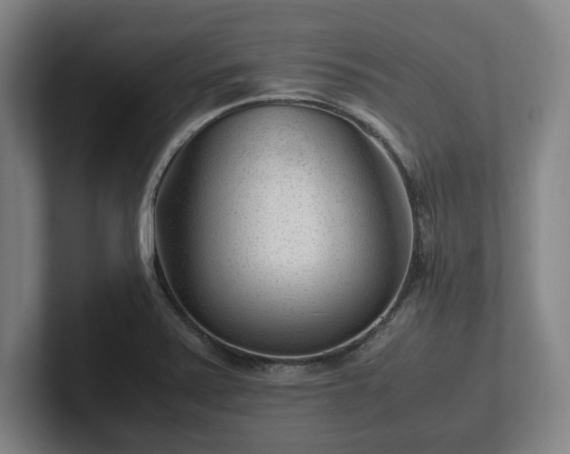 X0000101991371200807251217