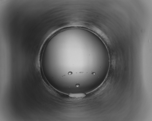 X0000101991372200807251217