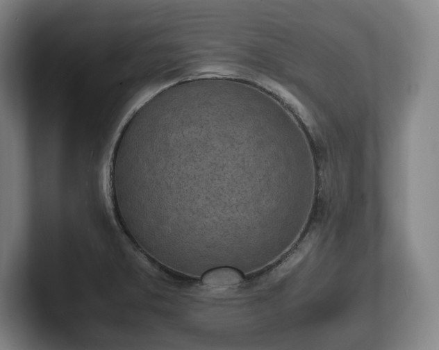 X0000101991373200807251217