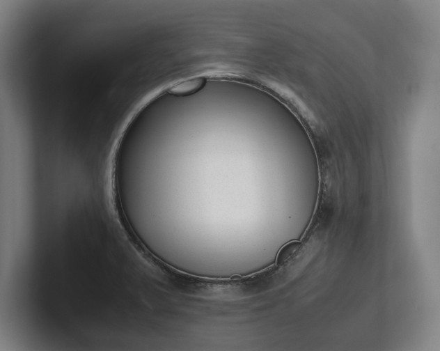 X0000101991375200807251217