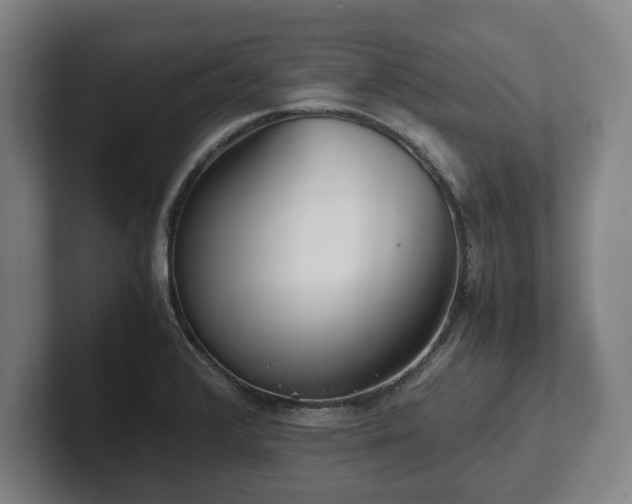 X0000101991376200807251217