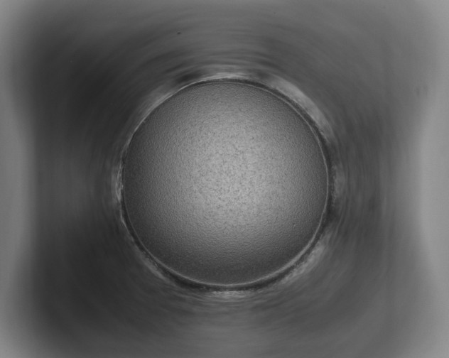 X0000101991377200807251217