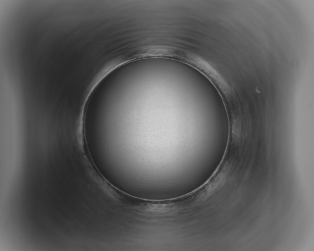 X0000101991378200807251217
