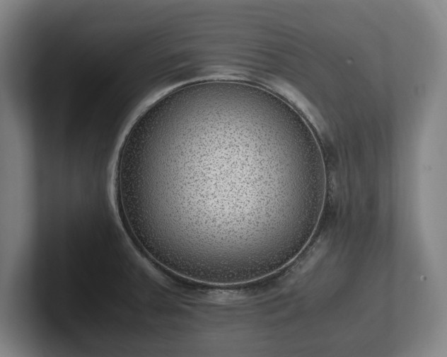 X0000101991379200807251217