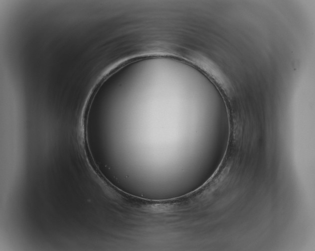 X0000101991380200807251217
