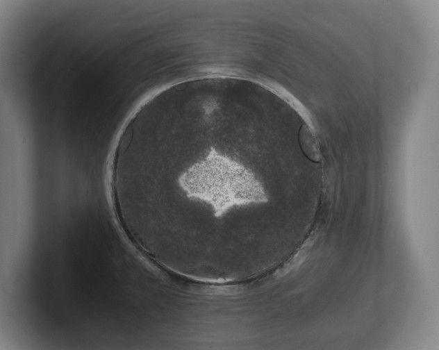 X0000101991381200807251217