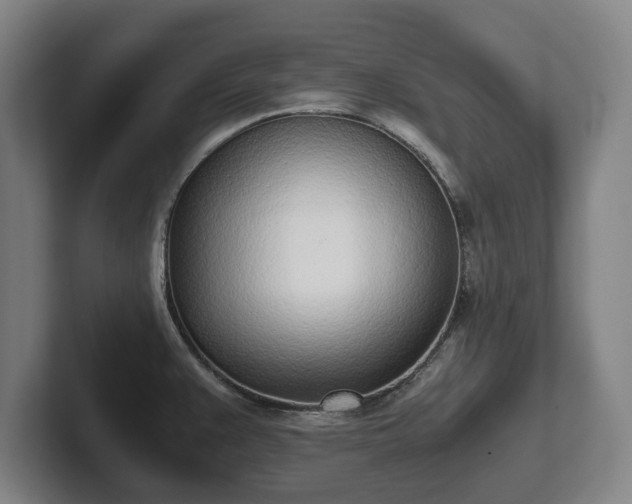 X0000101991383200807251217