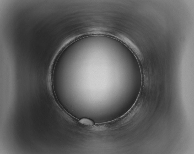 X0000101991384200807251217