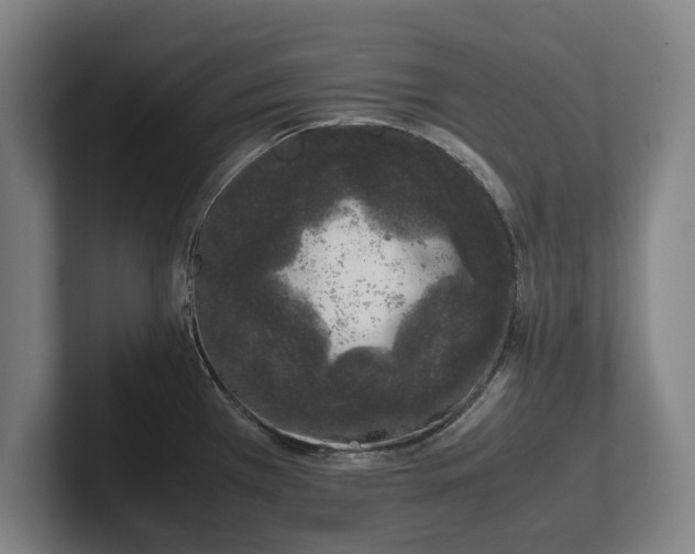 X0000101991385200807251217