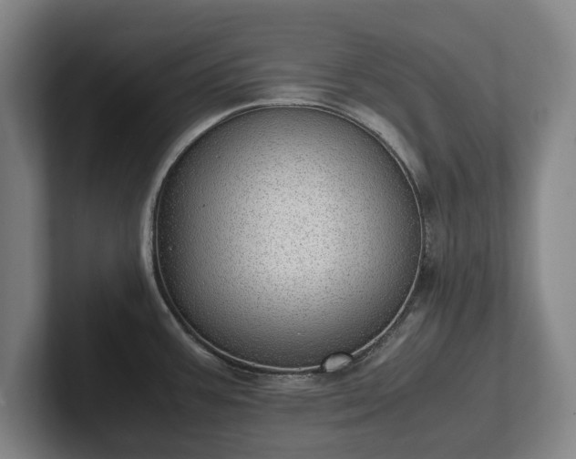 X0000101991387200807251217