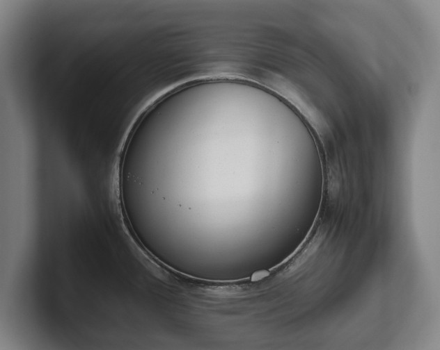X0000101991388200807251217