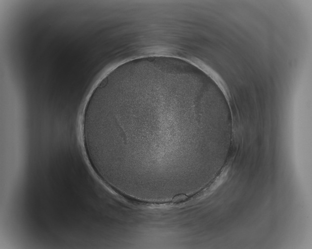 X0000101991389200807251217