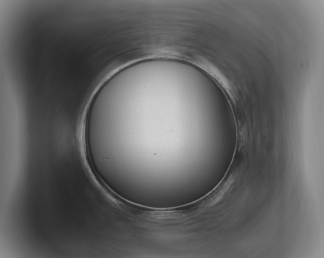 X0000101991391200807251217