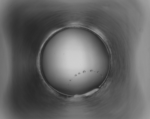 X0000101991392200807251217