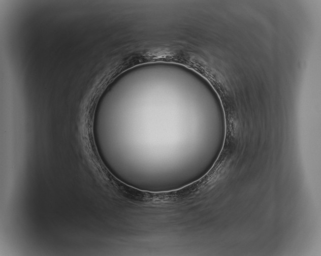 X0000101991393200807251216