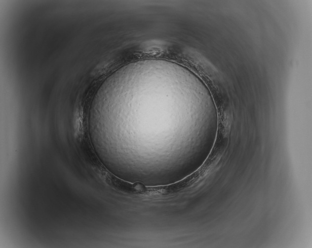 X0000101991394200807251216