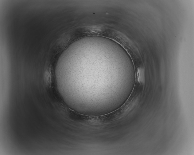 X0000101991395200807251216