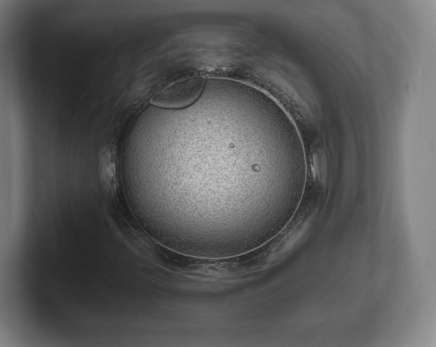 X0000101991396200807251216