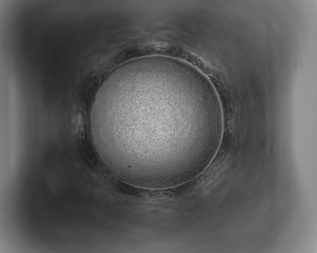 X0000101991397200807251216