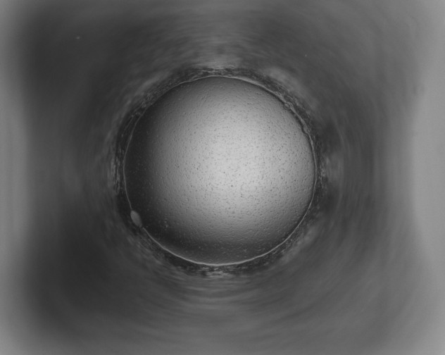 X0000101991398200807251216
