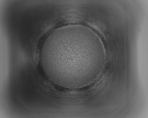 X0000101991399200807251216