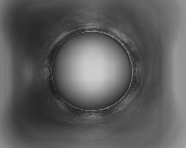 X0000101991400200807251216